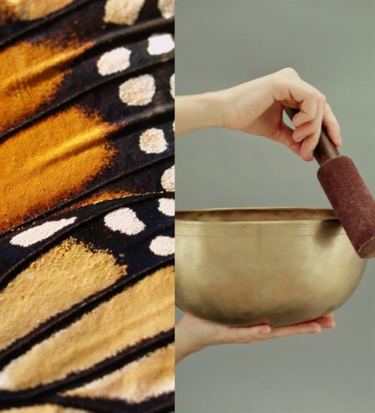 A sound bath bowl and a butterflies wings