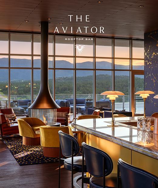 The Aviator bar
