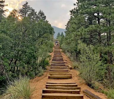 large outdoor staircase hike
